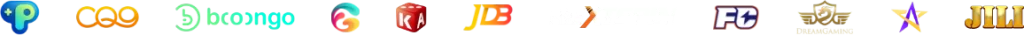 providers copy 2
